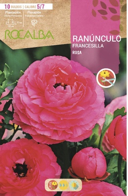 Bulbo Ranunculos 5/7 Rosa