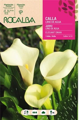 Bulbo Callas 14/18 Elegant Swan Blanco