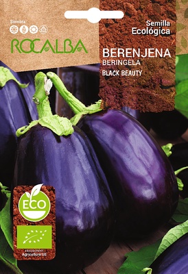 Semilla Ecologica Berenjena Black Beauty