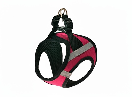 Arnes Comfort Liso Talla XL