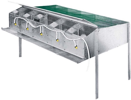 Jaula Cria Perdices 5 Departamentos