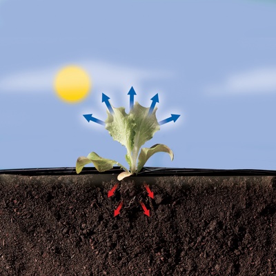 Film de Acolchamiento Especial Huerto Terrafilm 1,40x10mt