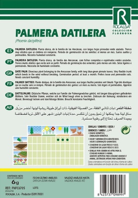 Semilla Palmera Datilera