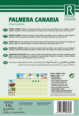 Semilla Palmera Canaria - Phoenix Canariensis-