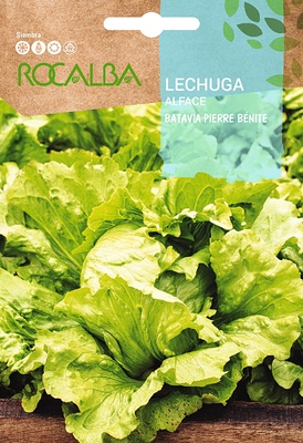 Semilla Lechuga de Pierre Benite