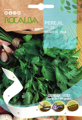 Semilla Perejil Gigante de Italia en Cinta