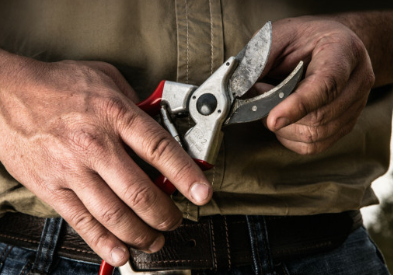 Tijera de Poda Felco No 2