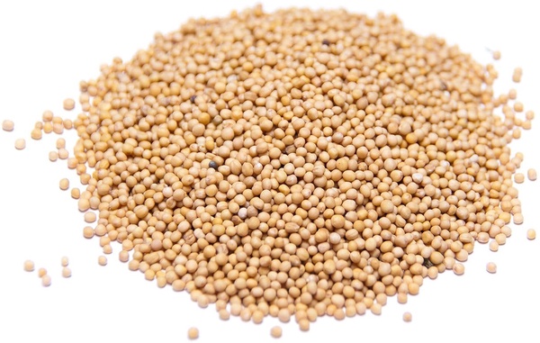 Semilla Mostaza Blanca Cabella 5 kg