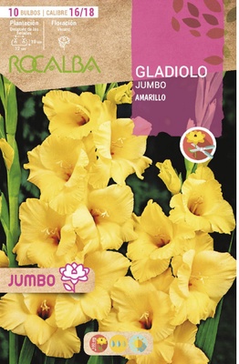 Bulbos Gladiolos Jumbo Amarillo