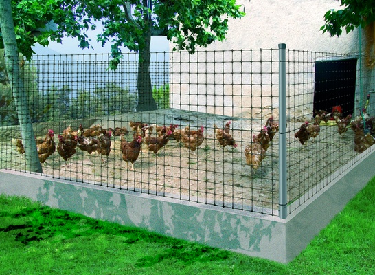 Malla Plastico Gallinera 2 Metros Negro 200 Metros