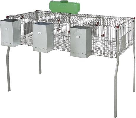 Jaula Conejos Penta 3 Suelo Metalico