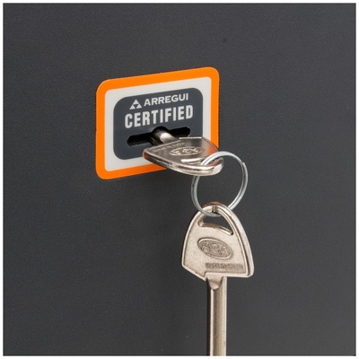 Caja Fuerte Empotrar Plus Llave 270x385x200-300