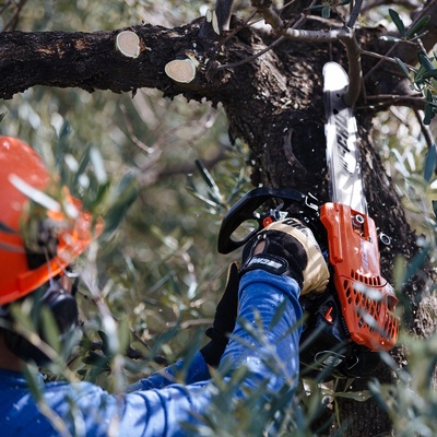 Motosierra de Poda Echo CS2511TES