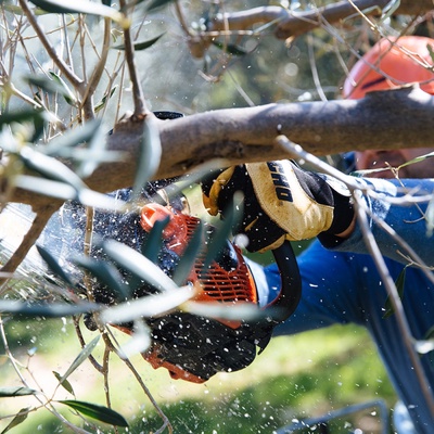 Motosierra de Poda Echo CS2511TES