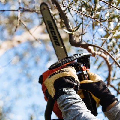 Motosierra de Poda Echo CS280T