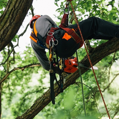 Motosierra de Poda Echo CS362TES
