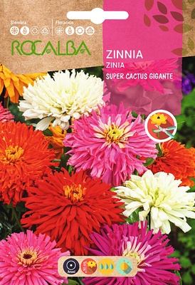 Semilla Zinia Super Cactus Gigante, Variada