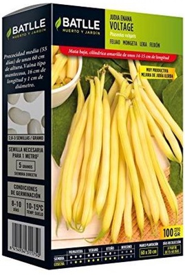 Semilla Judia Enana Voltage 250 gr
