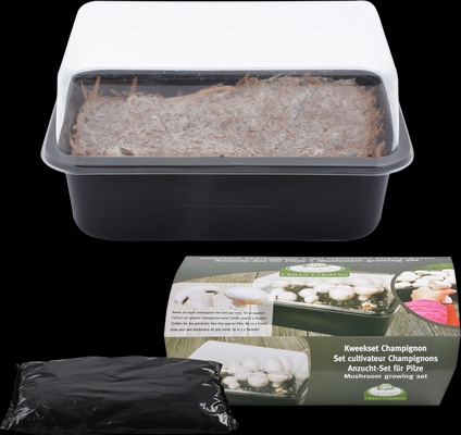 Set de Cultivo de Champi�ones