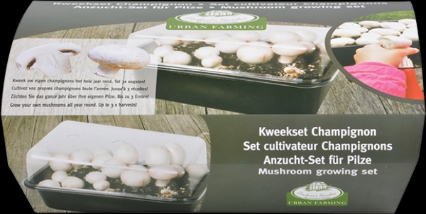 Set de Cultivo de Champi�ones