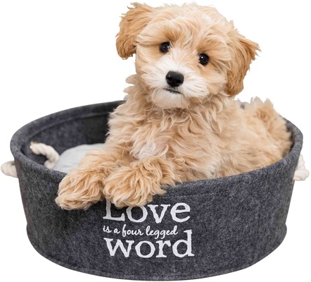 Cama Lian �37 Cm, Gris