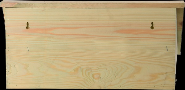 Caja Nido Vencejo Comun