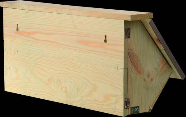 Caja Nido Vencejo Comun