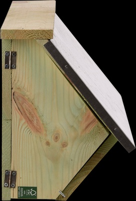 Caja Nido Vencejo Comun