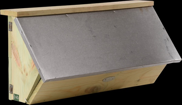 Caja Nido Vencejo Comun