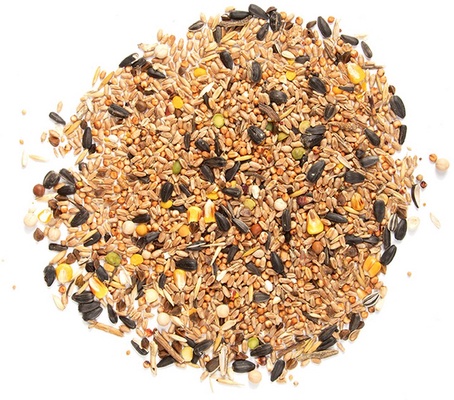 Mezcla de Semillas 4 Estaciones 