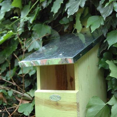 Caja Nido para Papamoscas 