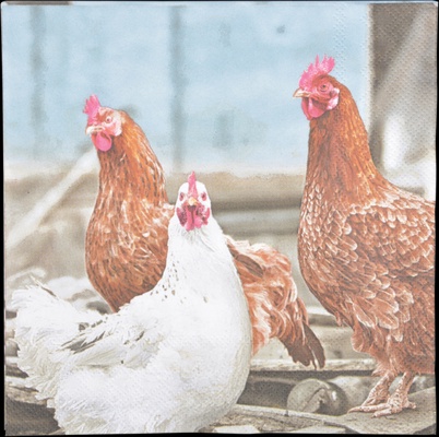 Servilletas de Papel Gallinas 33x33cm