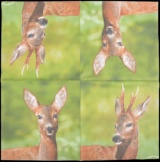 Servilletas de Papel Ciervo 33x33cm