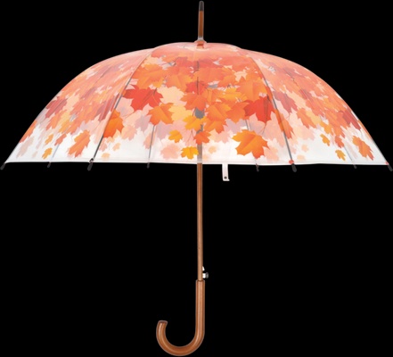 Paraguas Oto�o