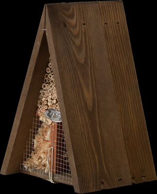 Hotel de Insectos Triangulo