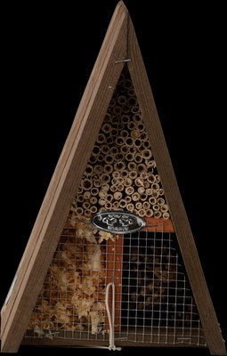 Hotel de Insectos Triangulo