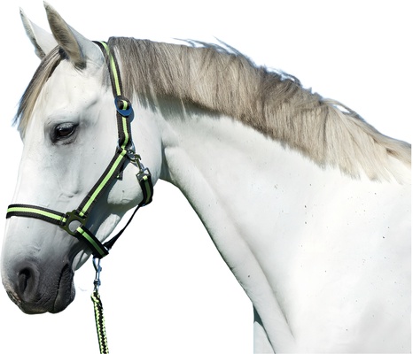Cabezada Caballo Nylon Antracita/Lima Full 3