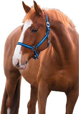 Cabezada Caballo Nylon Marino/Azul Talla Cob 2