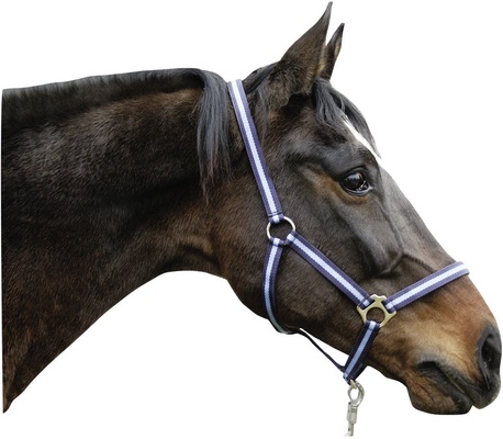 Cabezada Caballo Nylon Marino/Azul Talla Cob 2