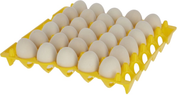 Bandeja Plastica para Huevos 30 Huecos Apilable