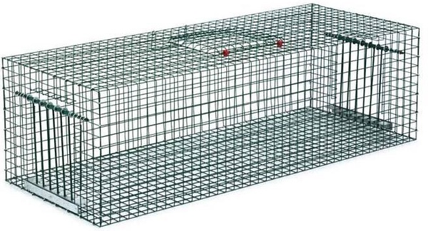 Jaula Captura Palomas