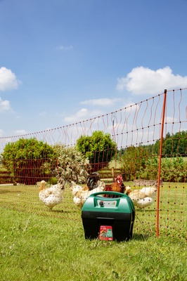 Pastor Electrico Recargable Mobil Power A 1200