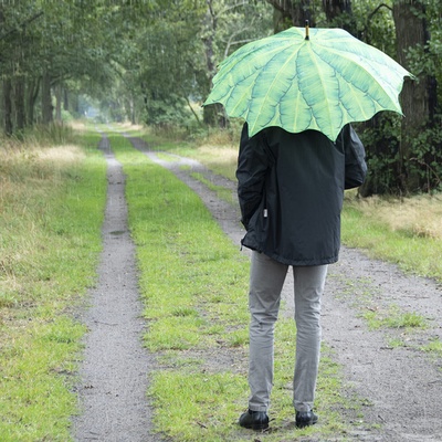 Paraguas Hojas de Platano