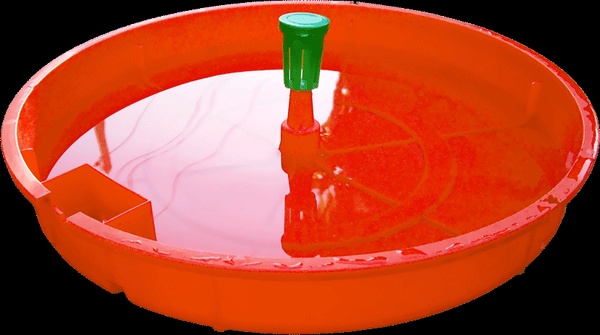 Trampa Agua Tuta Absoluta Tomate Tutasan (Sin Atrayente)