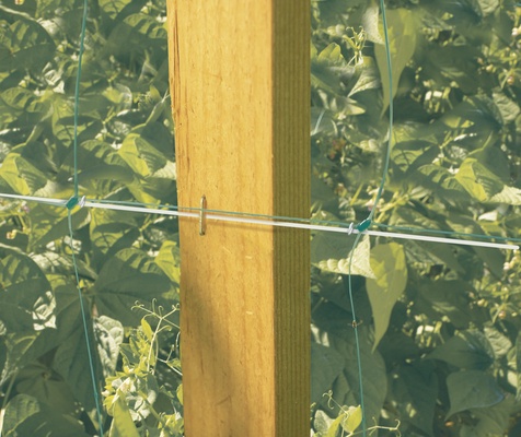 Malla Entutorar Cultivos Trellinet 2 x 10 Metros