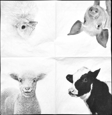 Servilletas de Papel Animales de Granja 25x25
