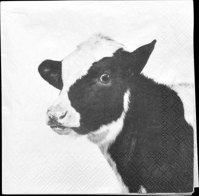 Servilletas de Papel Animales de Granja 25x25