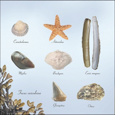 Servilletas de Papel Playa 33x33cm