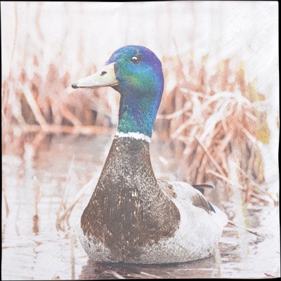 Servilletas de Pato Real 33x33cm