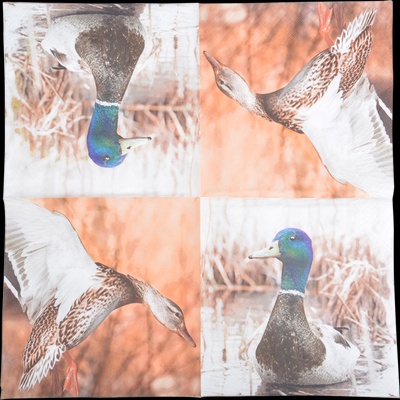 Servilletas de Pato Real 33x33cm